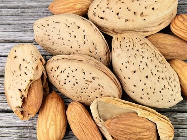 sadnica badema Super Nova